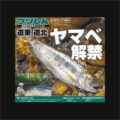 北海道新聞（お試し無料サンプル）